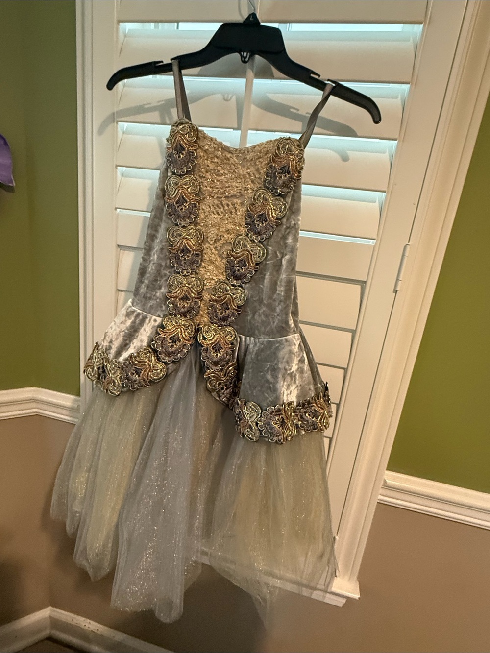 Girls Silver & Gold Velvet Tulle Princess Costume Dress